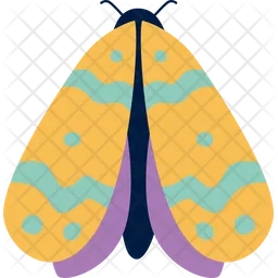 Butterfly  Icon