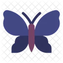 Butterfly Insect Nature Icon