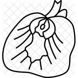 Butterfly  Icon