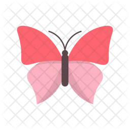 Butterfly  Icon