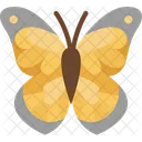Butterfly Insect Flower Icon