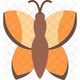 Butterfly  Icon