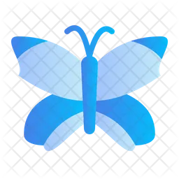 Butterfly  Icon