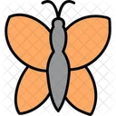 Butterfly Insect Nature Icon