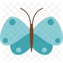 Butterfly Spring Nature Icon