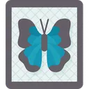 Butterfly Taxidermy Entomology Icon