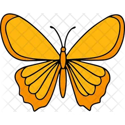 Butterfly  Icon