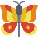 Butterfly Mammal Animal Icon