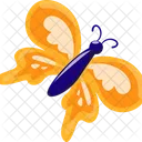 Butterfly Spring Nature Icon