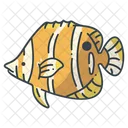 Butterfly Fish Beach Fish Icon