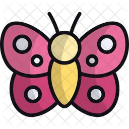 Butterfly  Icon