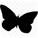 Butterfly Animals Icon