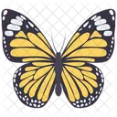 Butterfly Beautiful Spring Icon