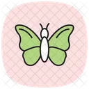 Butterfly Insect Flying Icon