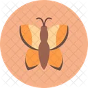 Butterfly Insect Nature Icon