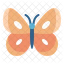 Butterfly  Icon