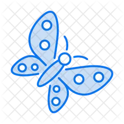 Butterfly  Icon