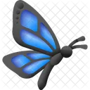 Butterfly Insect Nature Icon