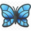 Butterfly Insect Nature Icon