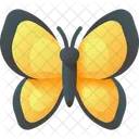 Butterfly Insect Nature Icon