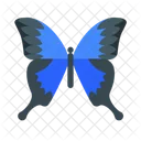 Butterfly  Icon