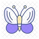 Butterfly  Icon