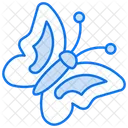 Butterfly  Icon