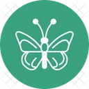 Butterfly  Icon