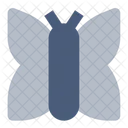 Butterfly  Icon