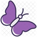 Butterfly  Icon