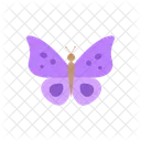 Butterfly Insect Nature Icon