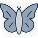 Butterfly  Icon