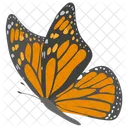 Butterfly Insect Pollination Icon