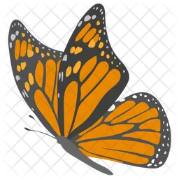 Butterfly  Icon