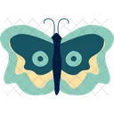Butterfly Insect Nature アイコン