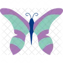 Butterfly Insect Nature アイコン