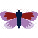 Butterfly Insect Nature アイコン