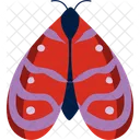 Butterfly Insect Nature アイコン