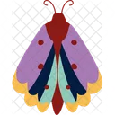 Butterfly Insect Nature アイコン