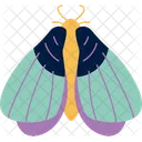 Butterfly Insect Nature アイコン