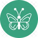 Butterfly Insect Nature Icon