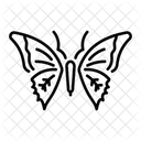 Butterfly  Icon