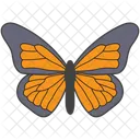 Butterfly  Icon