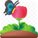 Butterfly Insect Nature Icon