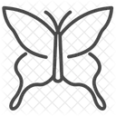 Butterfly Insect Park Icon