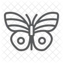Butterfly Easter Summer Icon