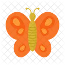 Butterfly Insect Nature Icon