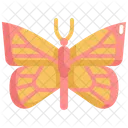 Butterfly Fly Insect Icon