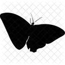 Butterfly Moth Bird Icon