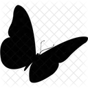 Butterfly Moth Bird Icon